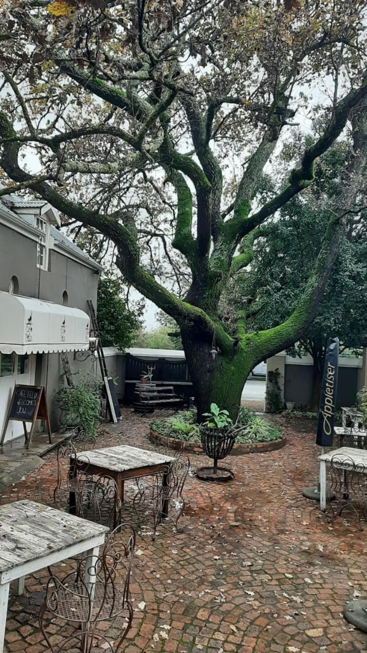 Cafe Felix & Old Oak Manor Hotel Riebeek-Kasteel Luaran gambar